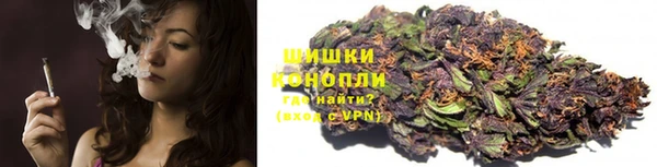 прущие крисы Алзамай