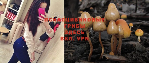 mix Осинники