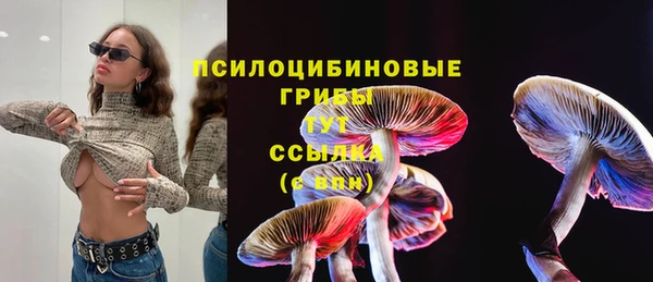 соль курить ск Алексеевка