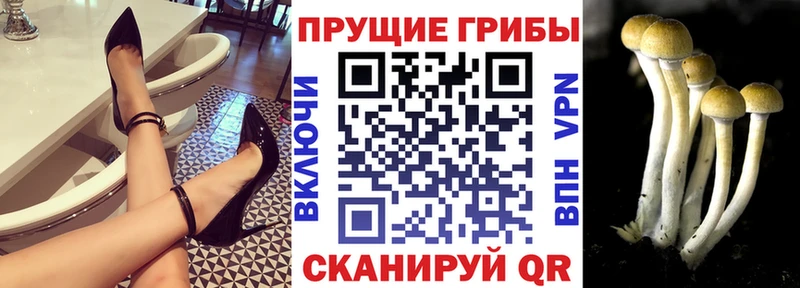Галлюциногенные грибы GOLDEN TEACHER  цена наркотик  площадка формула  Берёзовка  KRAKEN как войти 
